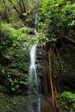 waterfall,cascading,shivapuri,national,park