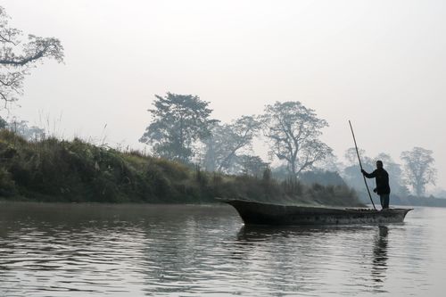 chitwan,national,park