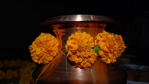 flower,festival,nepal