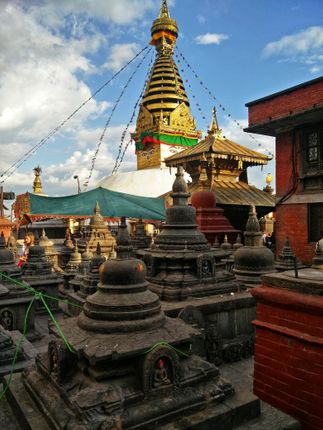 monkey,temple,eyes,kathmandu,valley