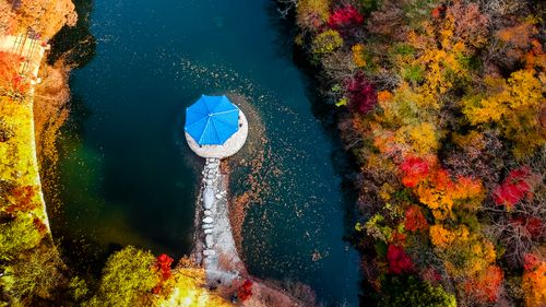 colors,autumn,aerial,view,photo,naejangsan,national,park,south,korea