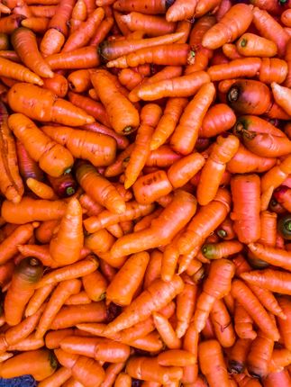 hetauda,carrot,farm,fresh