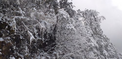 snow,fulchoki,mobile,photo