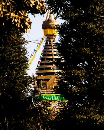 swoyambhu,natha,temple,located,kathmandu,nepalthe,eyes,peace,peeking,trees