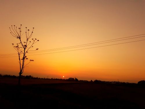 evening,sun,set,chitwa,nearby,sauraha