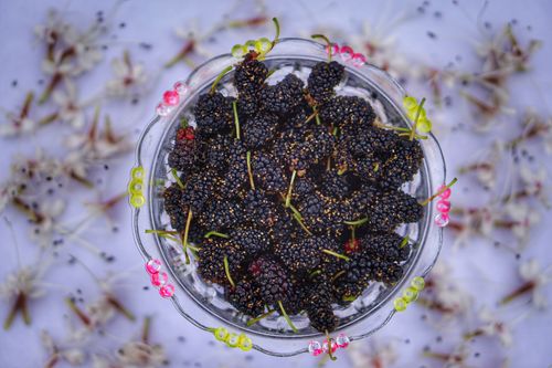 glass,plate,ripe,blackberries,gray,surface