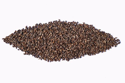 pile,buckwheat,isolated,white,background,top,view