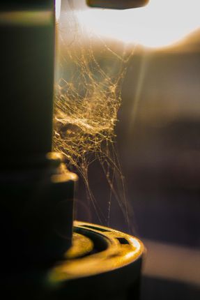 spider,web,formed,water,supply,pipe,rays,sun,passing,time,sunset