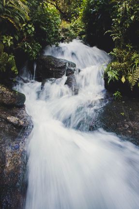 small,waterfall,jungle
