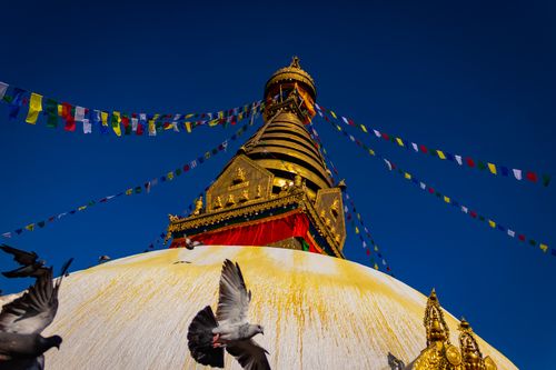 swayambhunath,monkey,temple,situated,kathmandu,nepal,main,attraction,declared,world,heritage,site,unesco