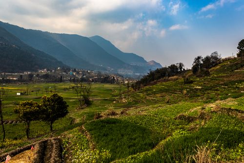 cultivable,land,village,nepal