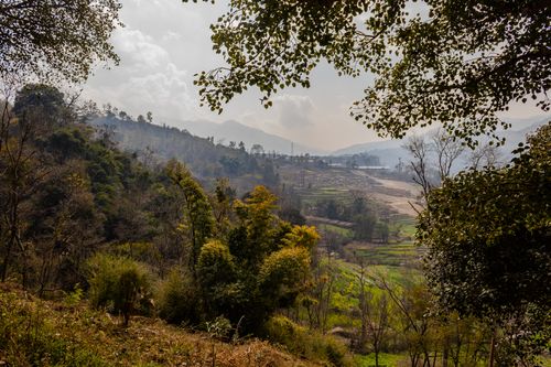 cultivable,land,village,nepal,trees,agricultured