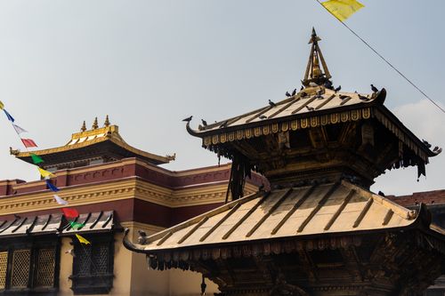 monastery,located,swayambhunathmonkey,temple,kathmandu