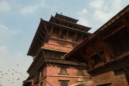 patan,durbar,square,world,heritage,site,clear,day,birds,passing