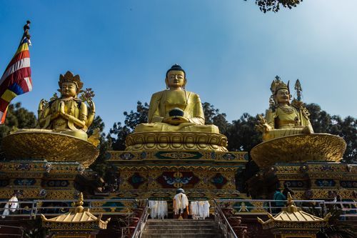 golden,buddha,statues,park,swayambhunath,area,kathmandu,nepal