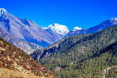 landscape,snow,mountain,manang,nepal