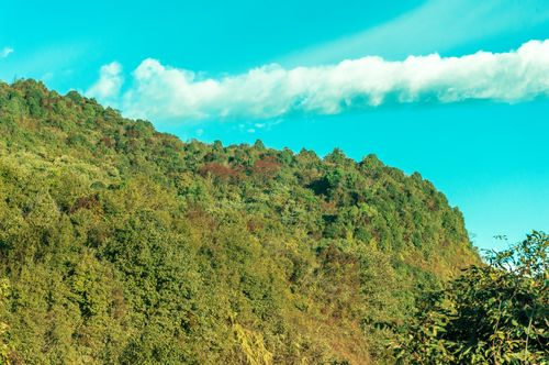 landscape,green,clean,forest,sindhupalchowk,nepal