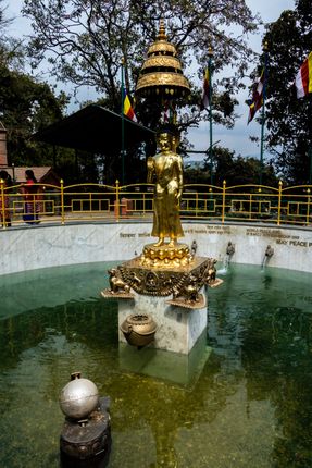 golden,statue,buddha,world,peace,pond,swayambhunath,kathmandu,nepal,coins,thrown,devotees,good,luck