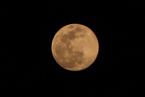 super,pink,full,moon,7april,2020#,sms,photography