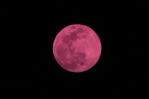 super,pink,moon,sms,photography