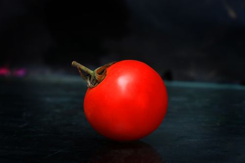 tomato,photography,sms