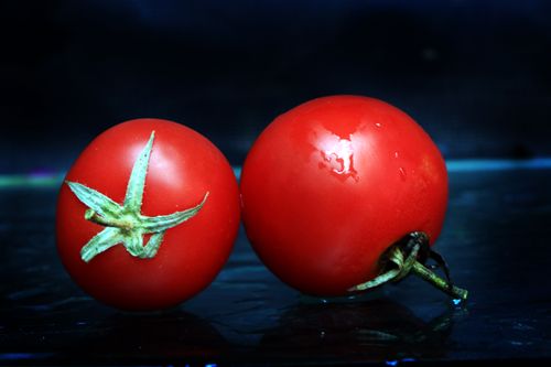 tomato,sms,photography