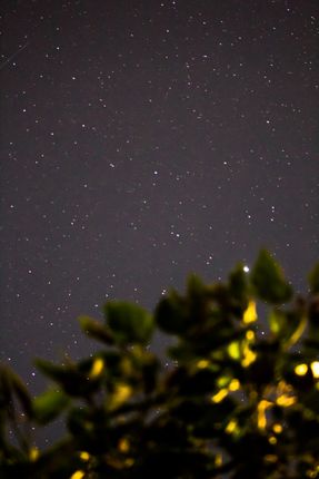 sparkling,stars,night