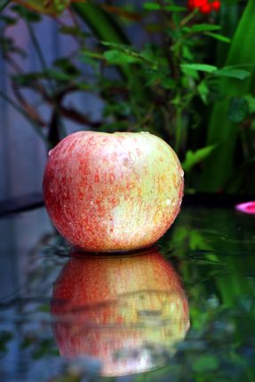 apple,reflection#,sms,photography