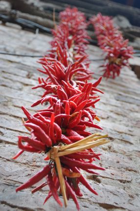 traditional,drying,red,chilies
