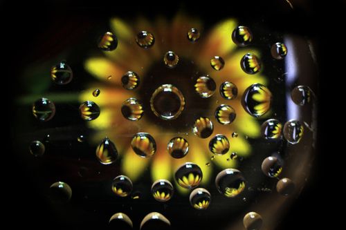 water,drop,reflection#sms,photography