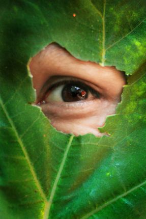leaf#eye#creative#,sms,photography