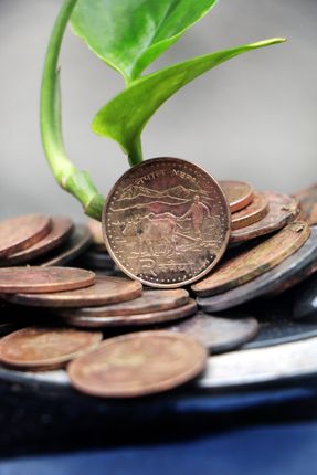 money,plant,grows,coins,sms,photography