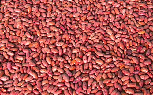 dry,red,beans,kidney,bean,collection,background,kathmandu,nepal