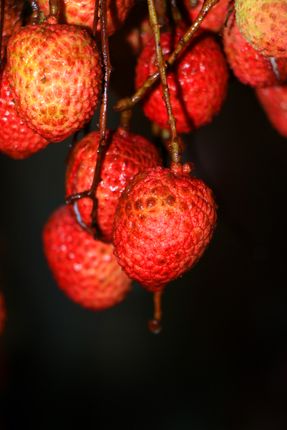 fresh,lychee,fruit,photography,#stock,image,nepalphotography#sitamayashrestha
