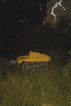 abandoned,cart,lies,middle,grassy,area,thunderstorm,night,composite,image