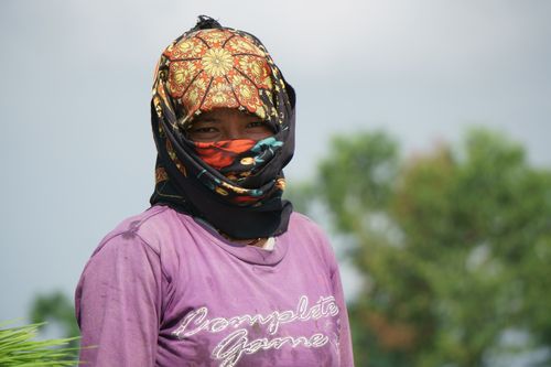 gurung,lady,covering,face,scarf,due,covid-19,fear,working,farmland,chitwan,nepal