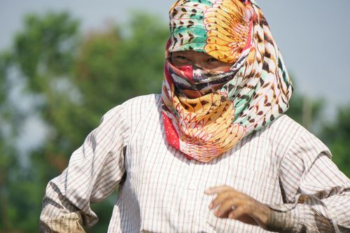 woman,scarf,mask,chitwan,nepal