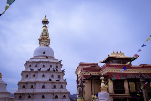 monastery,located,swayambhunath,stupamonkey,temple,kathmandu,nepal