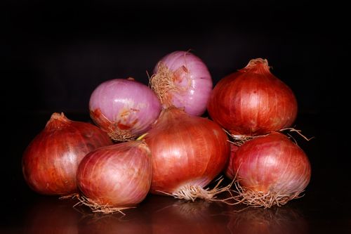 onion,image,stock,nepal,photography,sita,maya,shrestha