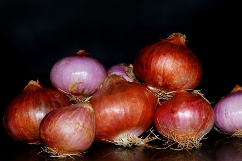 onion,image,stock,nepal,photography,sita,maya,shrestha