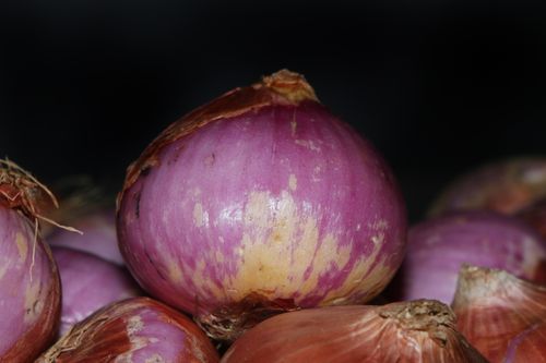 onions,image,stock,nepal,photography,sita,maya,shrestha