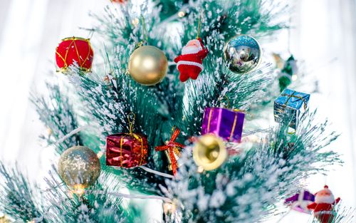 decoration,christmas,tree,lights