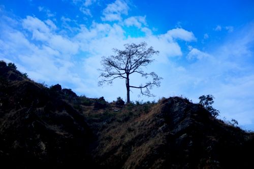 beautiful,tree,image,#listi,village,sindhupalchok,#stock,#nepal,photographyby,sita,maya,shrestha