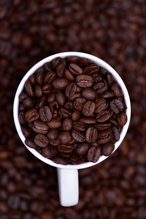coffee,beans,cup