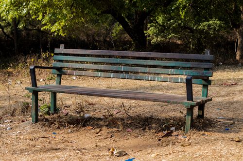 empty,bench,middle,forest,shreenagar,tansen,palpa,nepal