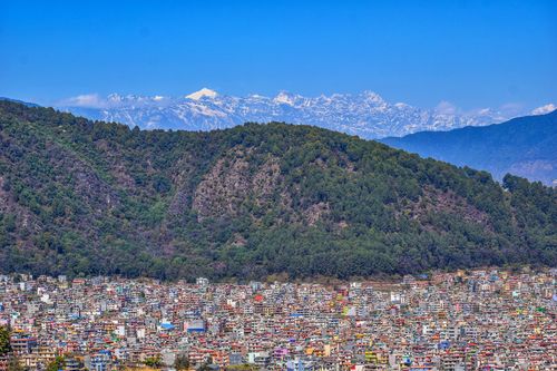 part,kathmandu,valley,nagarjun,forest,himalays,single,tree,area