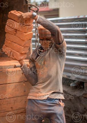 Find  the Image Man,carrying,the,piles,of,brick and other Royalty Free Stock Images of Nepal in the Neptos collection.