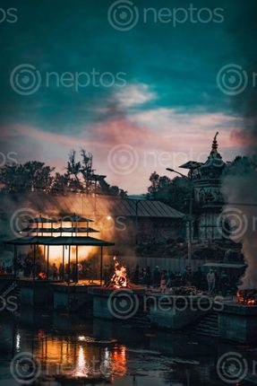 Find  the Image An,evening,at,pasupatinath,temple and other Royalty Free Stock Images of Nepal in the Neptos collection.