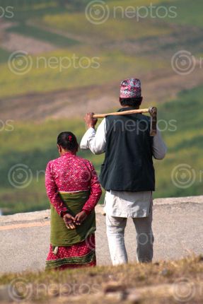 Find  the Image The,farmer,steps,toward,their,agricultural,land. and other Royalty Free Stock Images of Nepal in the Neptos collection.