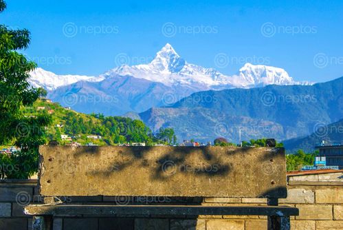 Find  the Image Fishtail,seen,from,bidebasini,temple,,pokhara and other Royalty Free Stock Images of Nepal in the Neptos collection.